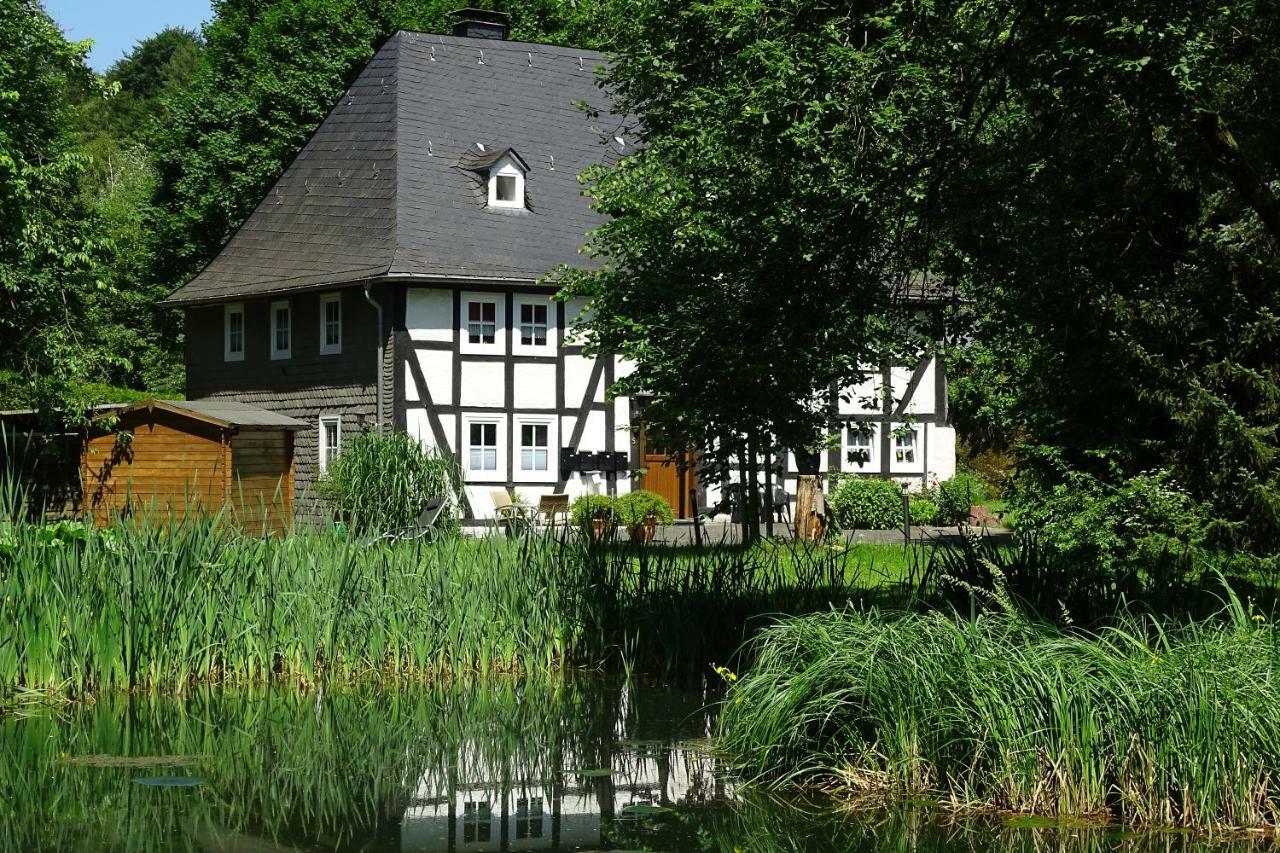 Ferienwohnung "Kleine Auszeit" Olsberg Kültér fotó